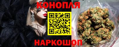 мдпв Бийск
