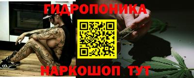 мдпв Бийск