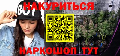 мдпв Бийск
