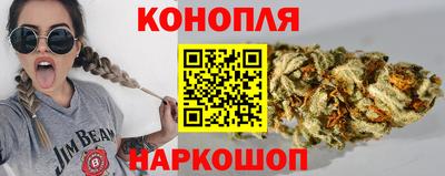 мдпв Бийск