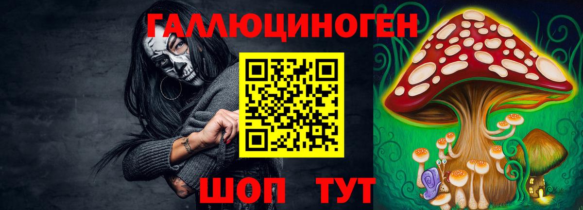Галлюциногенные грибы Psilocybe  Вход с VPN  Изобильный 